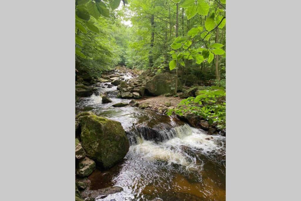 Schoenes Ruhiges App Mit Panoramablick Auf Den Harz 布劳恩拉格 外观 照片