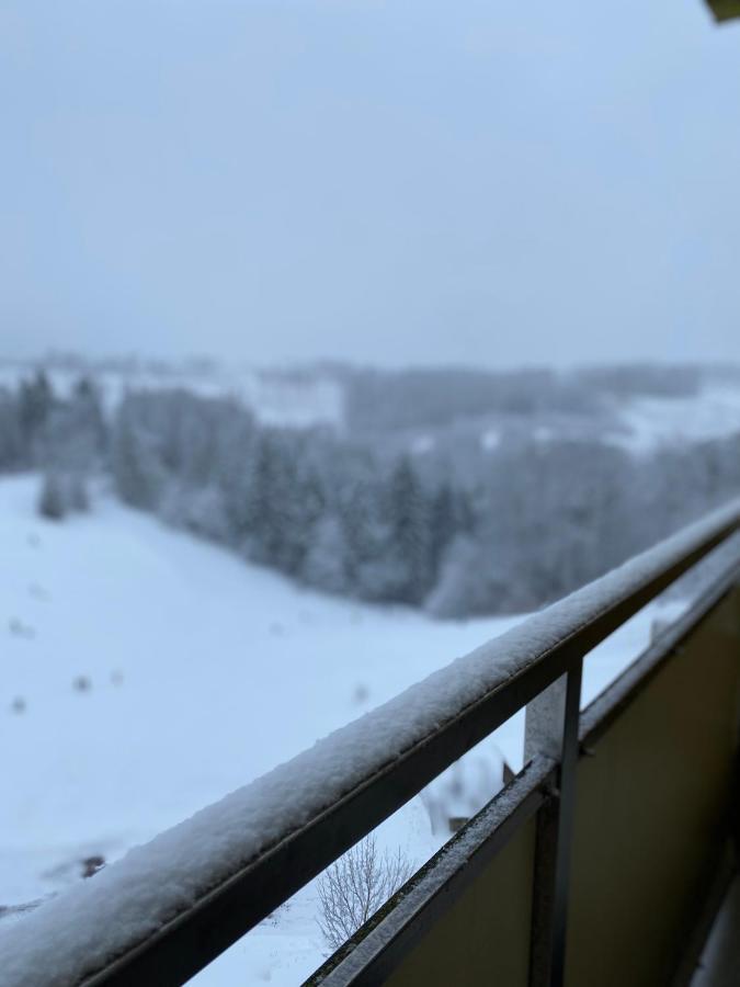 Schoenes Ruhiges App Mit Panoramablick Auf Den Harz 布劳恩拉格 外观 照片
