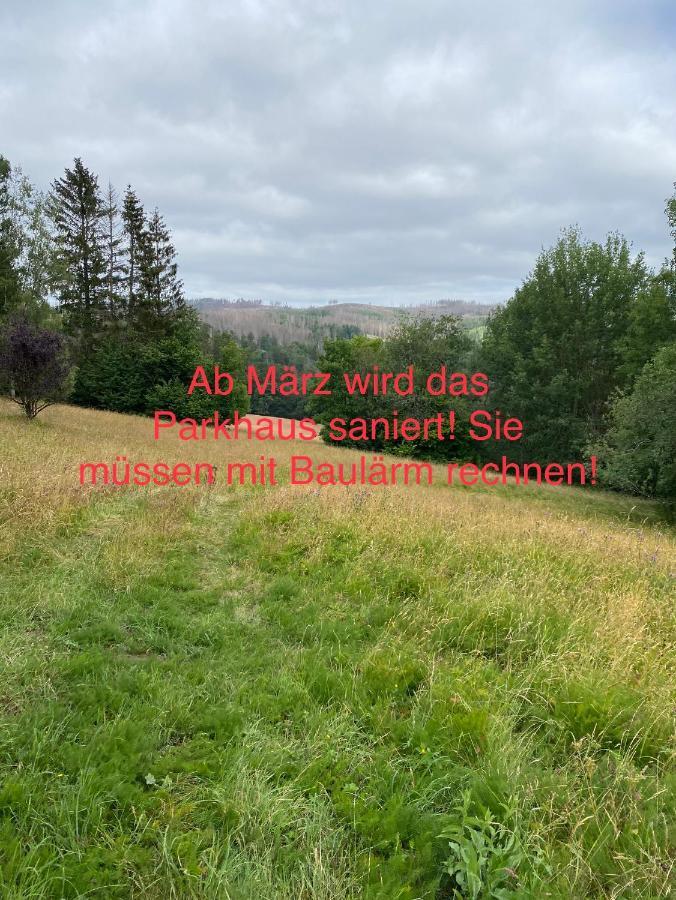 Schoenes Ruhiges App Mit Panoramablick Auf Den Harz 布劳恩拉格 外观 照片